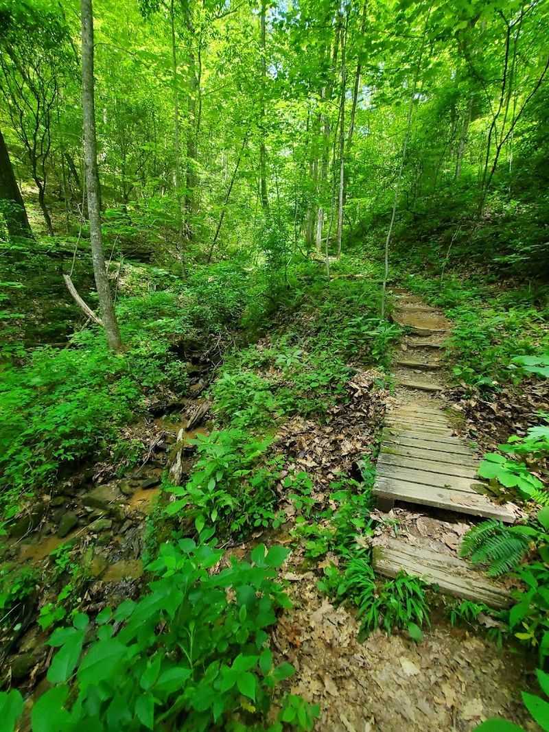 Coosa Backcountry Trail – Vogel State Park
