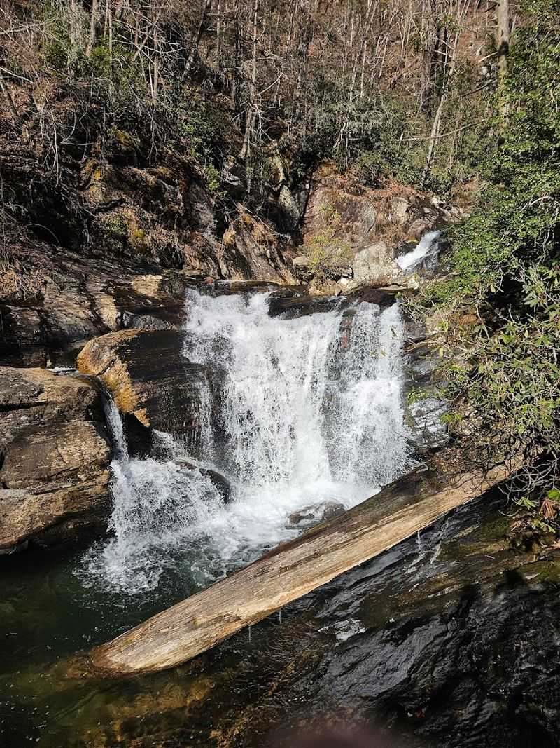 Dukes Creek Falls Trail 