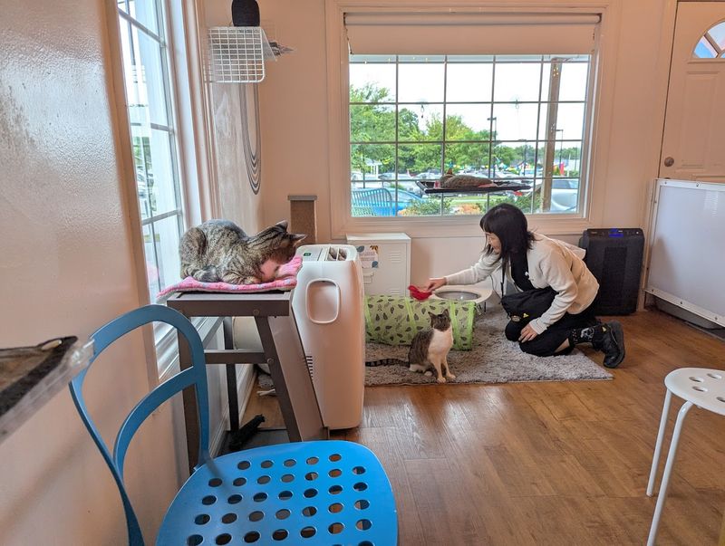 A Caf&eacute; Where Coffee Meets Compassion
