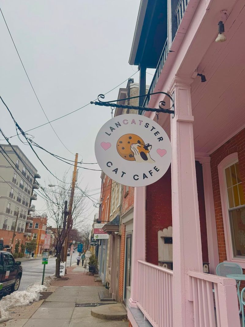 The Perfect Blend: Locally-Sourced Pennsylvania Coffee