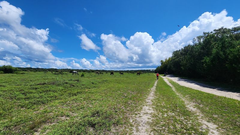 Northern Wilderness Area's Backcountry Trails