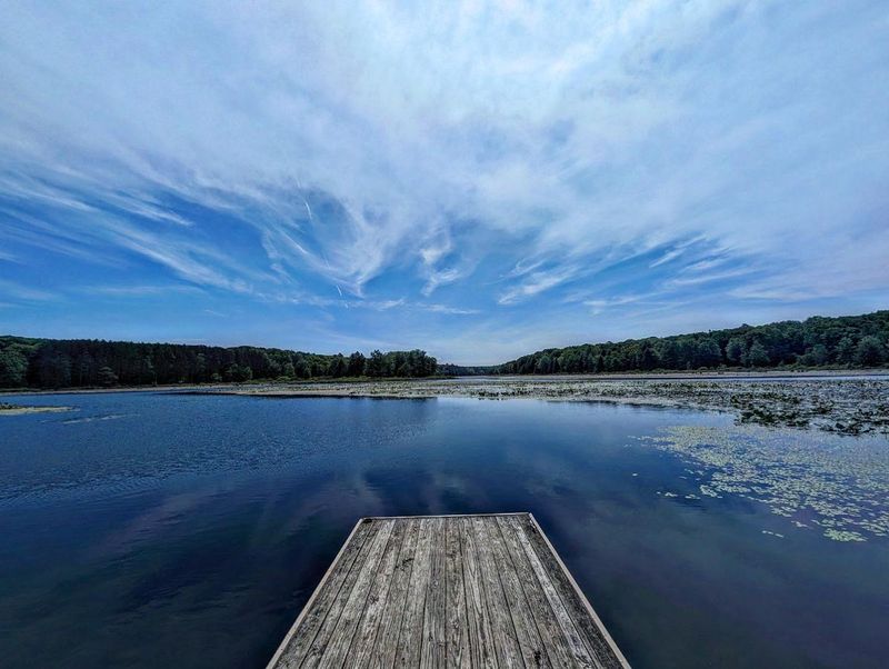 Black Moshannon State Park (Philipsburg)