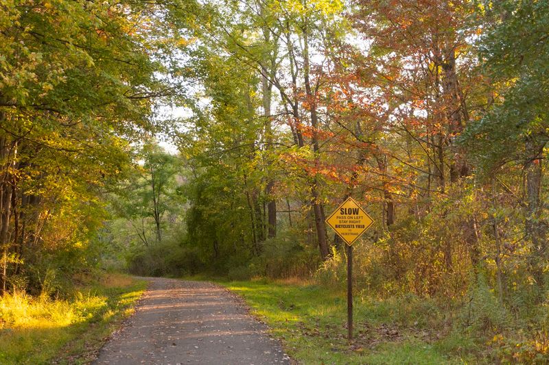 Hoodlebug Trail