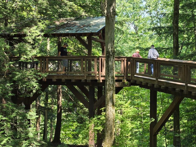 The Holden Arboretum (Kirtland)