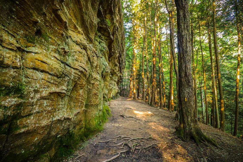 Hemlock Bridge Trail, Londonville