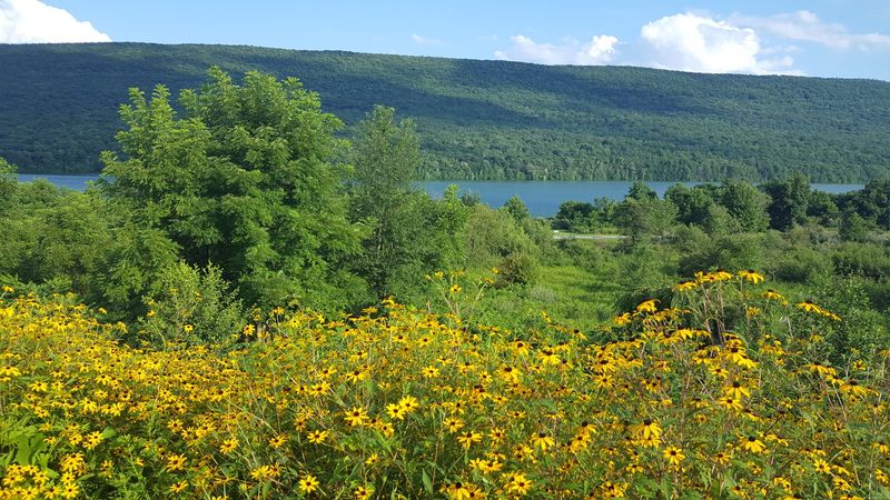 Bald Eagle State Park, Centre County