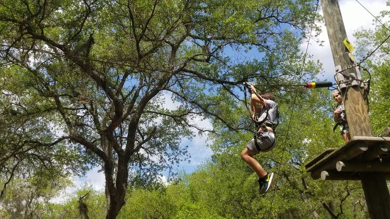 TreeUmph! Adventure Course