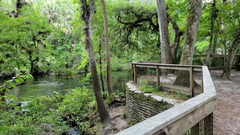 Hillsborough River State Park &ndash; Riverside Trails & Rapids Views