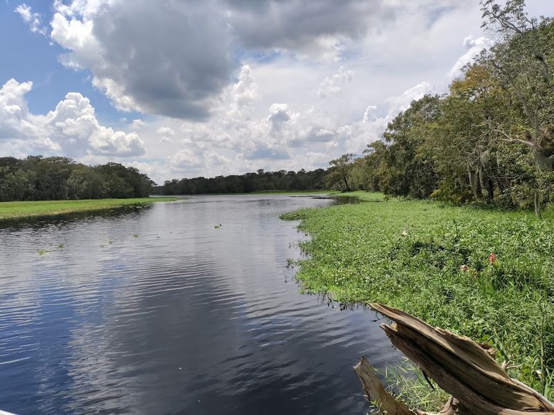 Lower Wekiva River Preserve State Park