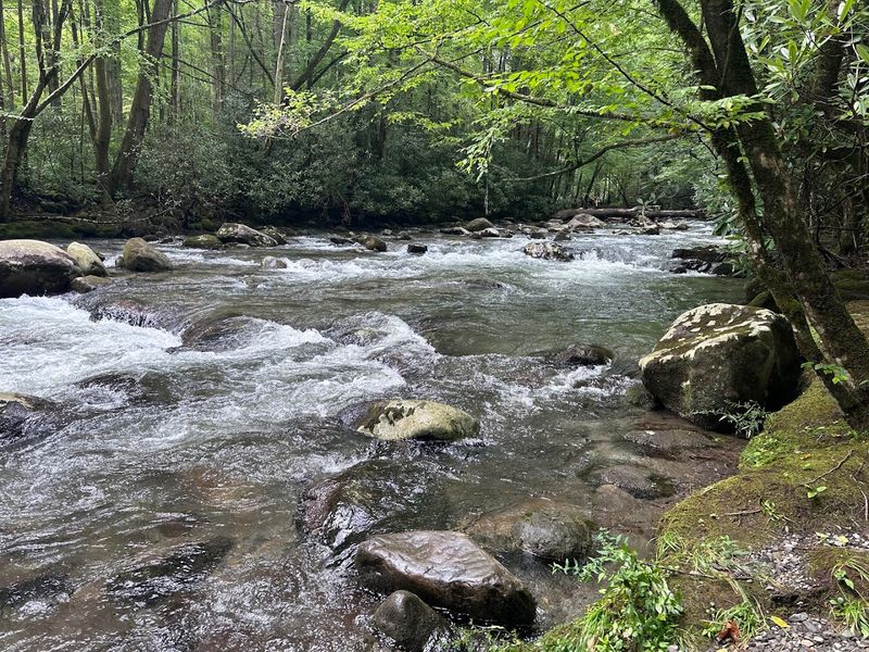 Porters Creek Trail (Greenbrier/GSMNP)