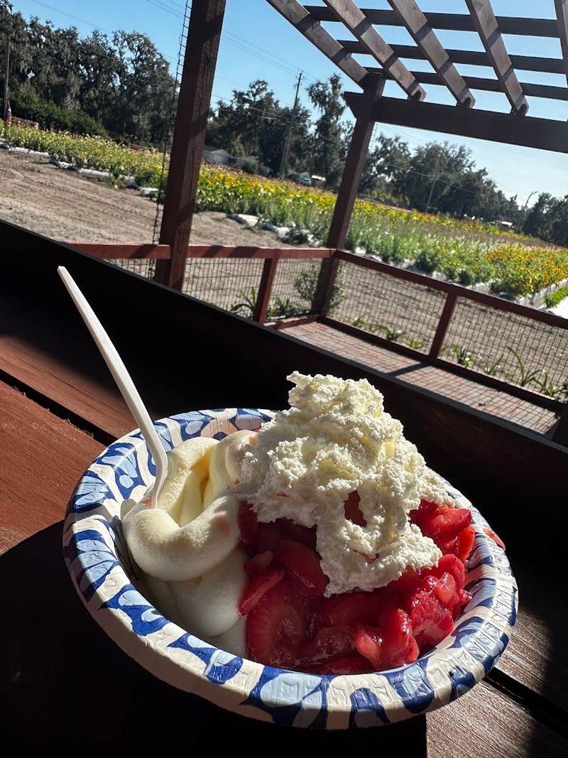 Warm Strawberry Cobbler With Vanilla Ice Cream