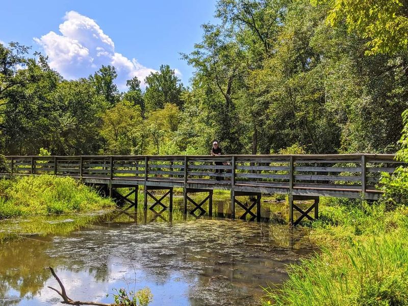 Morrow Mountain State Park – Uwharrie Region
