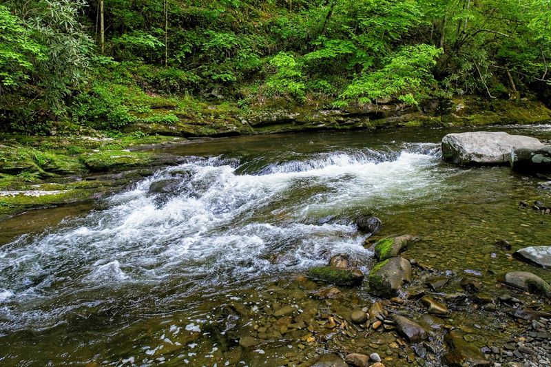 Deep Creek Loop Trails — Great Smoky Mountains National Park