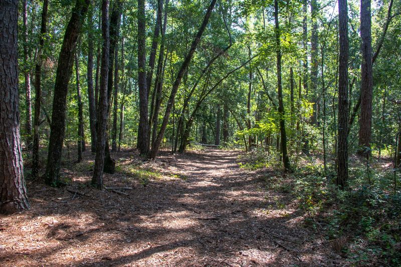 Ev-Henwood Nature Preserve
