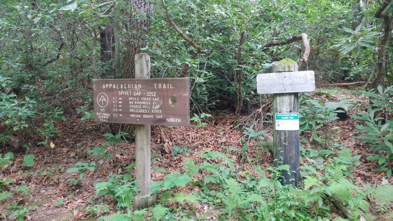 Appalachian Trail at Spivey Gap to High Rocks