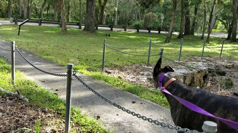 A Small Site With A Big Florida Story