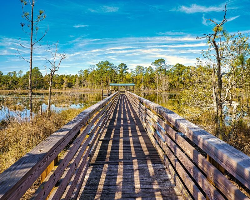 Conservation Lands Protecting the Wilderness