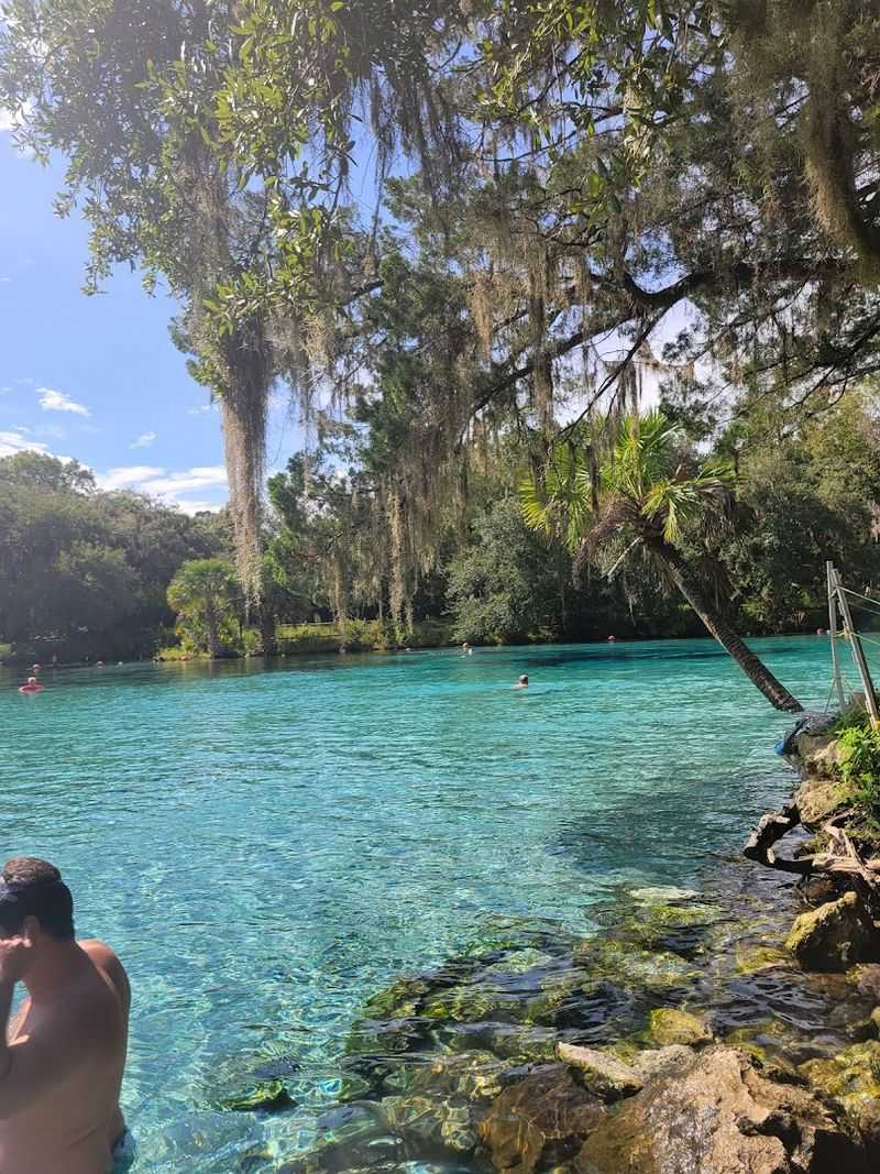 Ocala National Forest