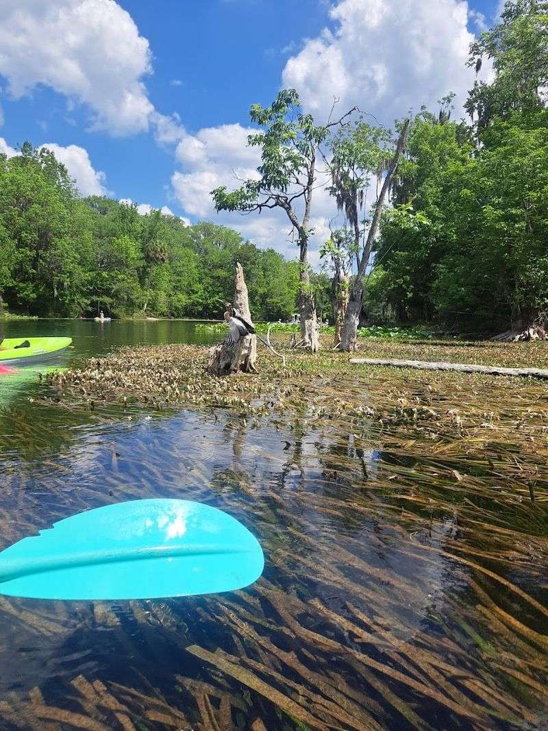 Silver Springs State Park (Ocala)