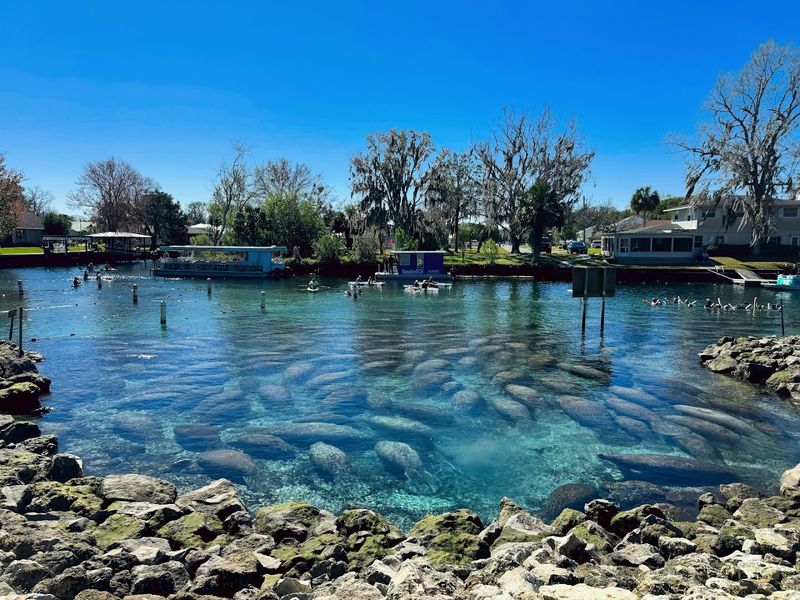 Three Sisters Springs