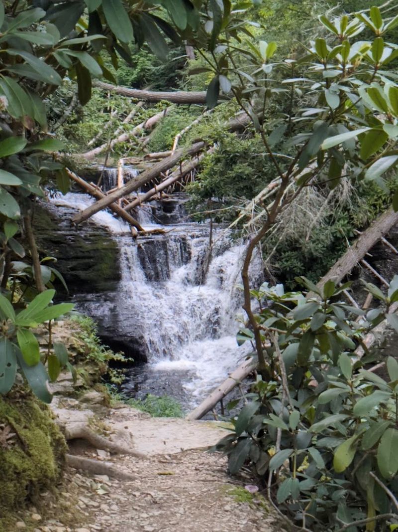 Dingmans Falls