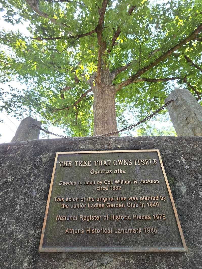 The Tree That Owns Itself