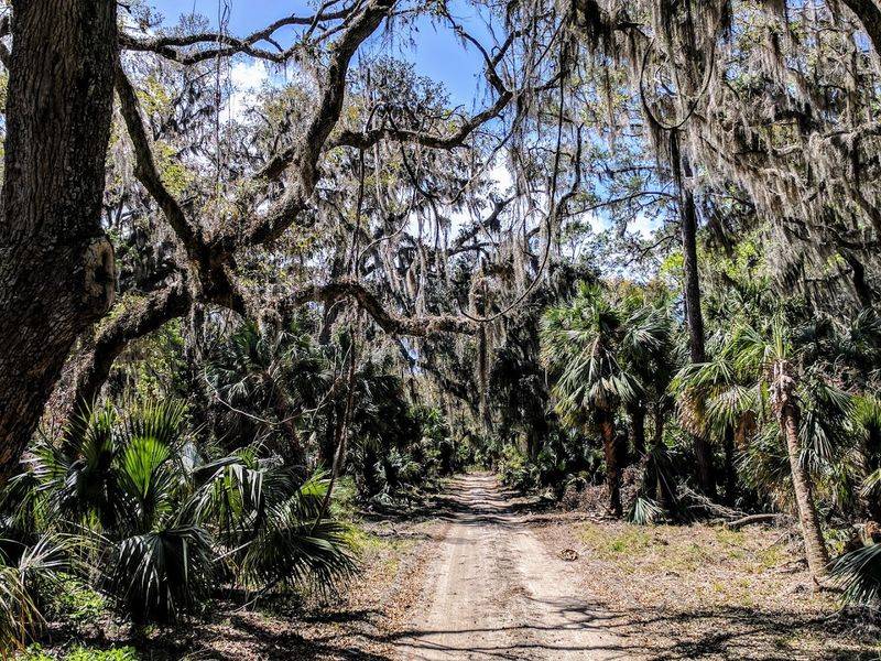 Ossabaw Island Heritage Preserve