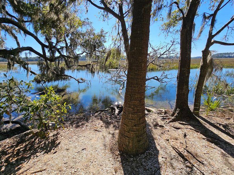 Wormsloe Historic Site - Savannah, Chatham County