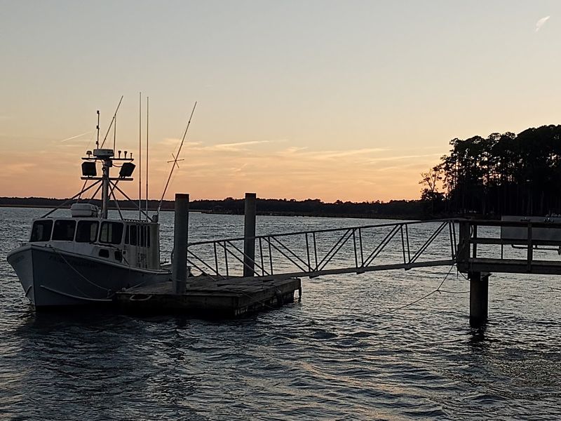 Shellman Bluff