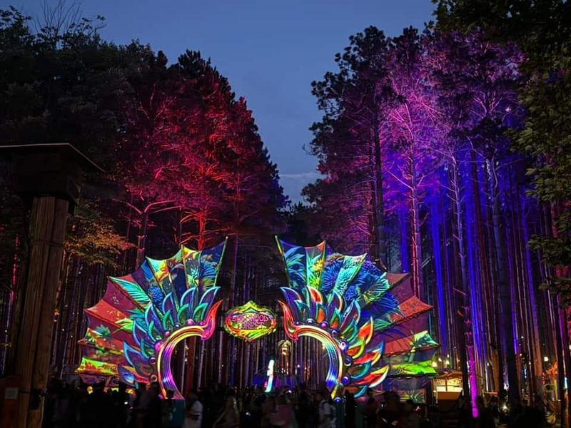Electric Forest (June)