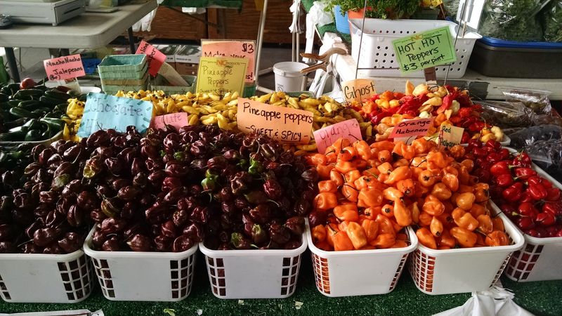 Specialty Shops and Hidden Treasures