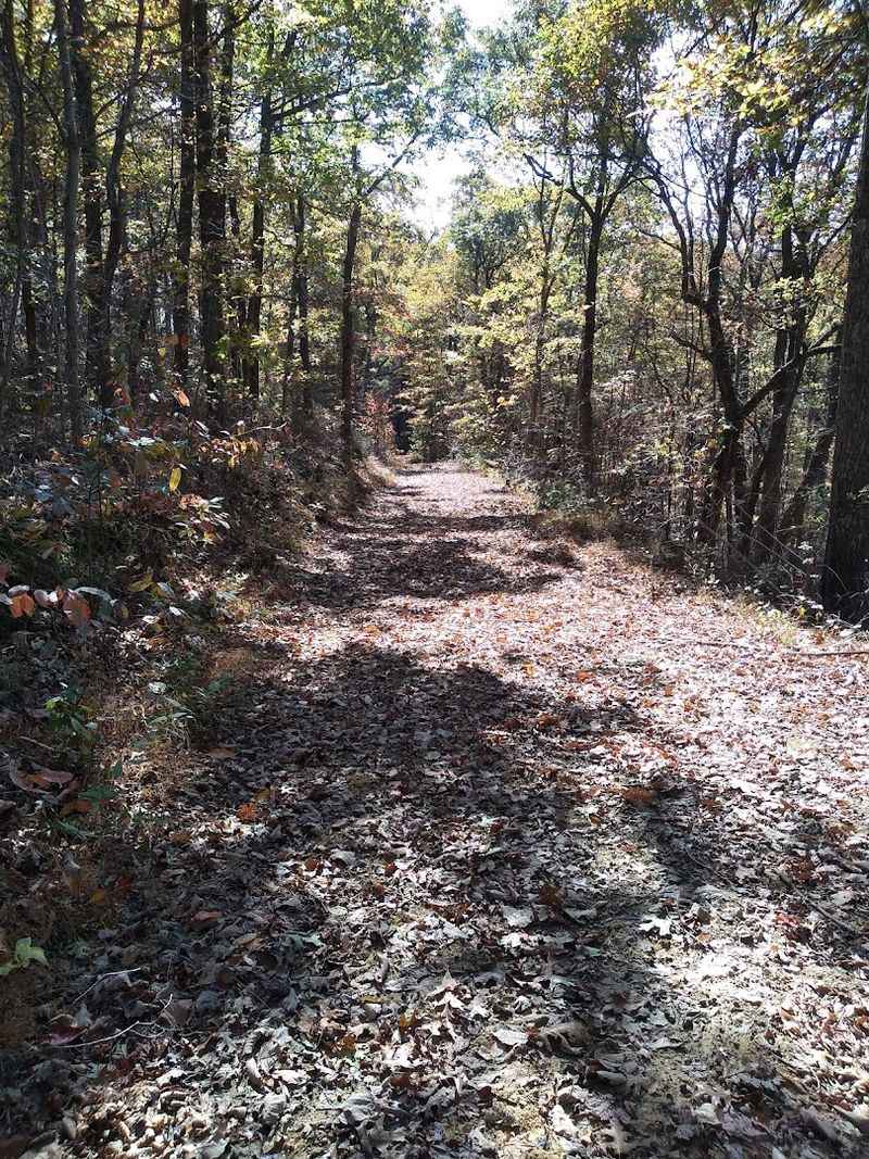 Shawnee State Forest &mdash; Best for Experienced Hikers and Backpackers