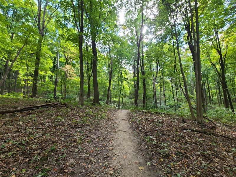 Great Seal State Park &ndash; Chillicothe