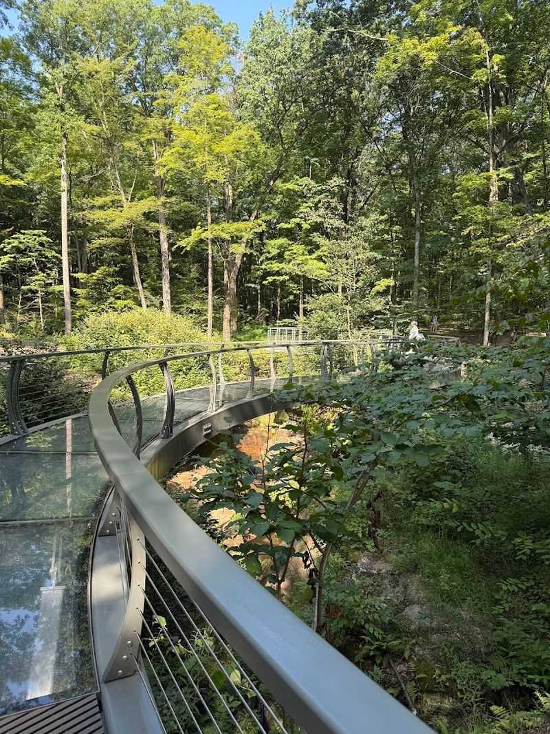 Nelson-Kennedy Ledges State Park (Garrettsville)