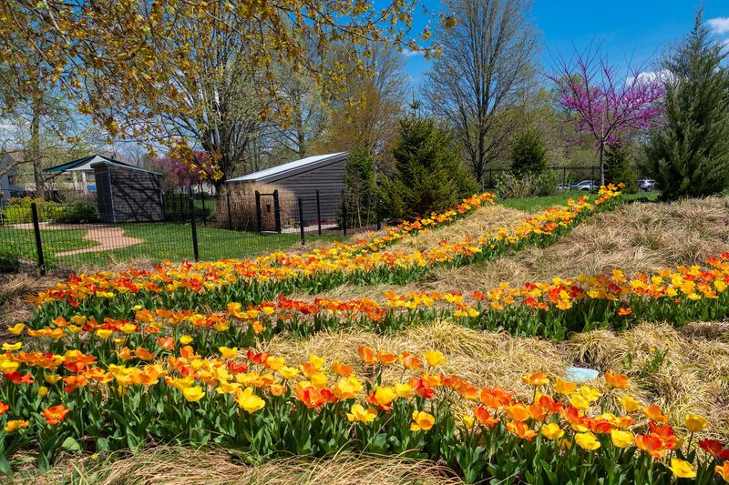 Franklin Park Conservatory and Botanical Gardens - Columbus, Franklin County