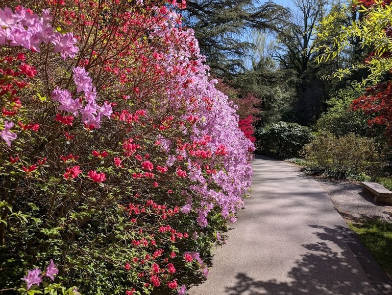 Biltmore Estate Gardens &ndash; Asheville
