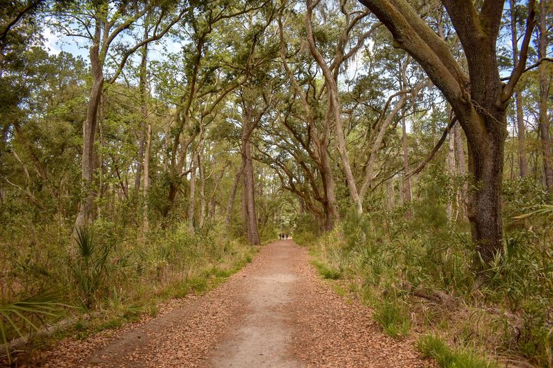 Skidaway Island State Park