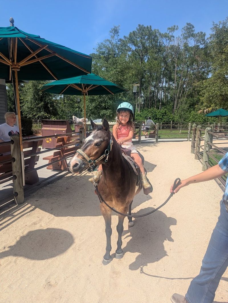 Disney's Fort Wilderness Horseback Riding &mdash; Orlando, Florida