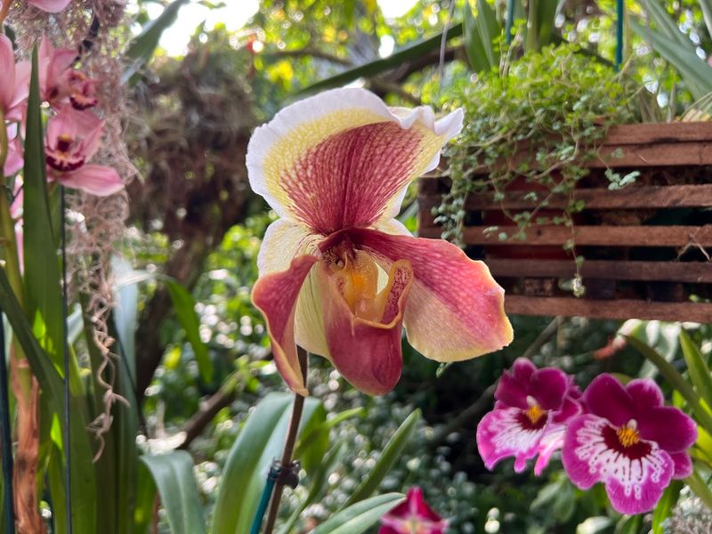 Cleveland Botanical Garden (Cleveland)