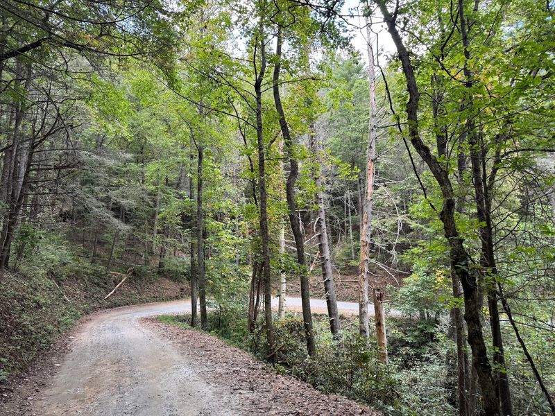 Helton Creek Falls Trail