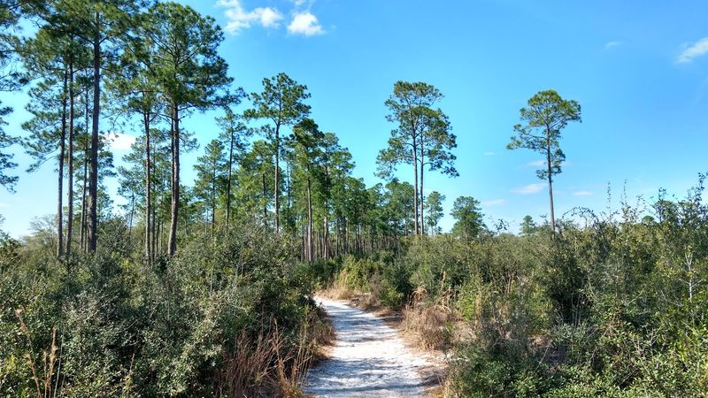 Pine Island Trail