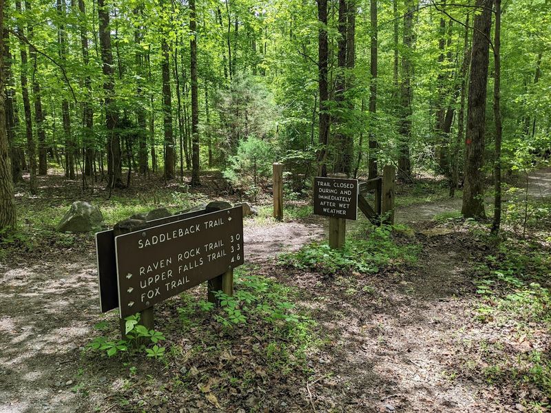 High Shoals Falls Trail