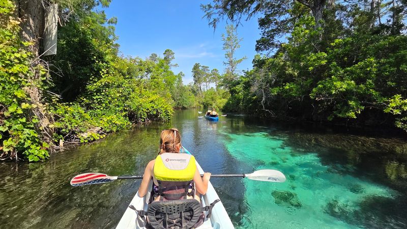 Kayaking the Pristine Weeki Wachee River