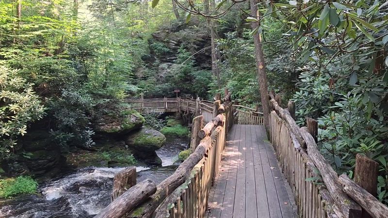 Wander Through Bushkill Falls