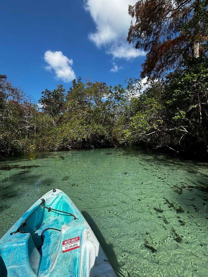 Kayaking Weeki Wachee River (Brooksville)