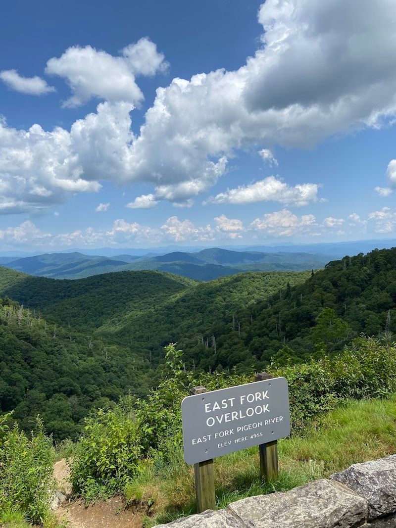 East Fork Overlook