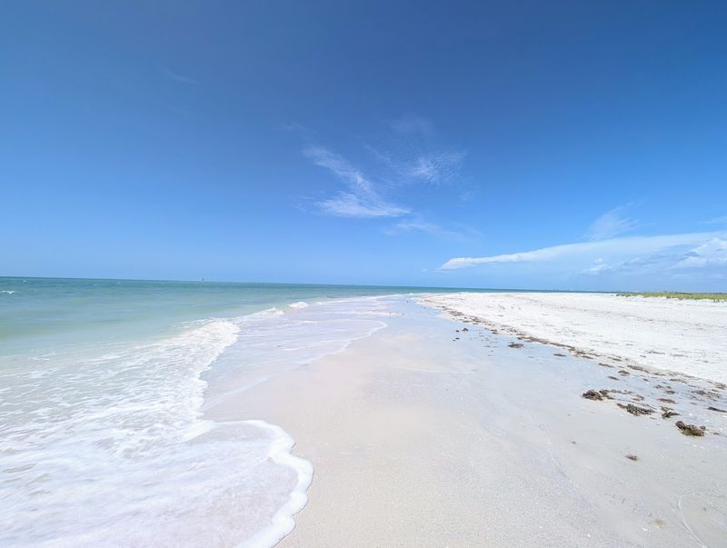 Shell Key Preserve