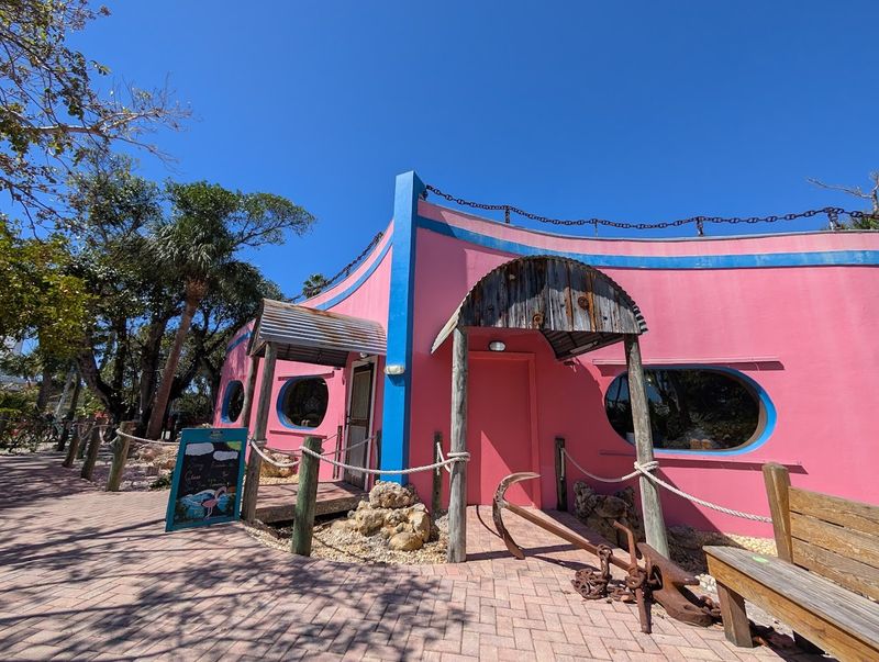 The Lazy Flamingo
