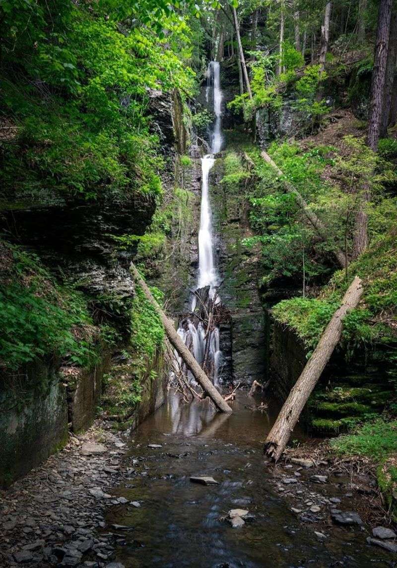 Silverthread Falls