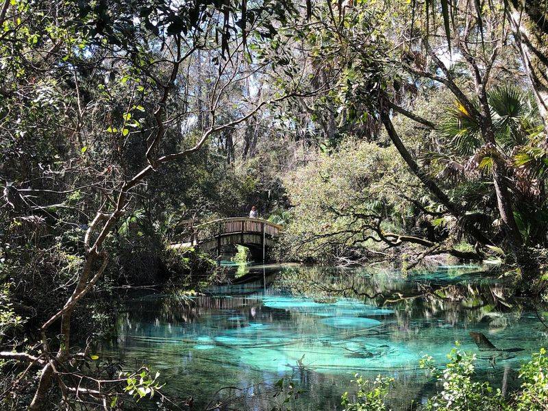 Hike and Paddle in Ocala National Forest